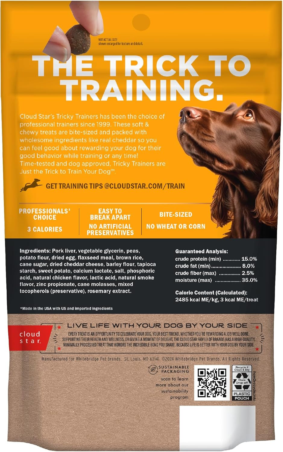 Tricky Trainers Soft & Chewy Dog Treats, Cheddar, 5 Oz. Pouch